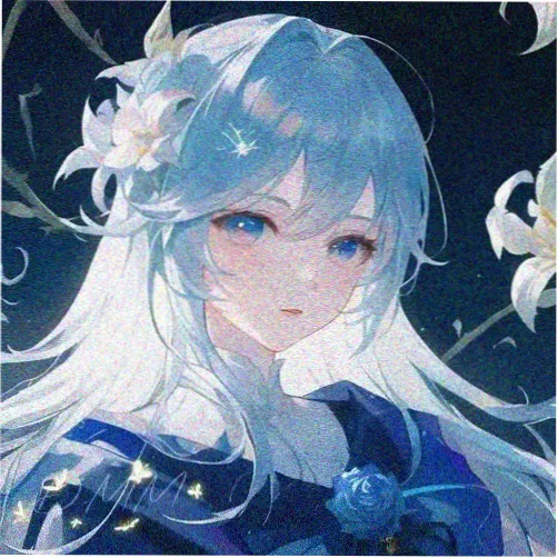 UP主光晕调教师的头像